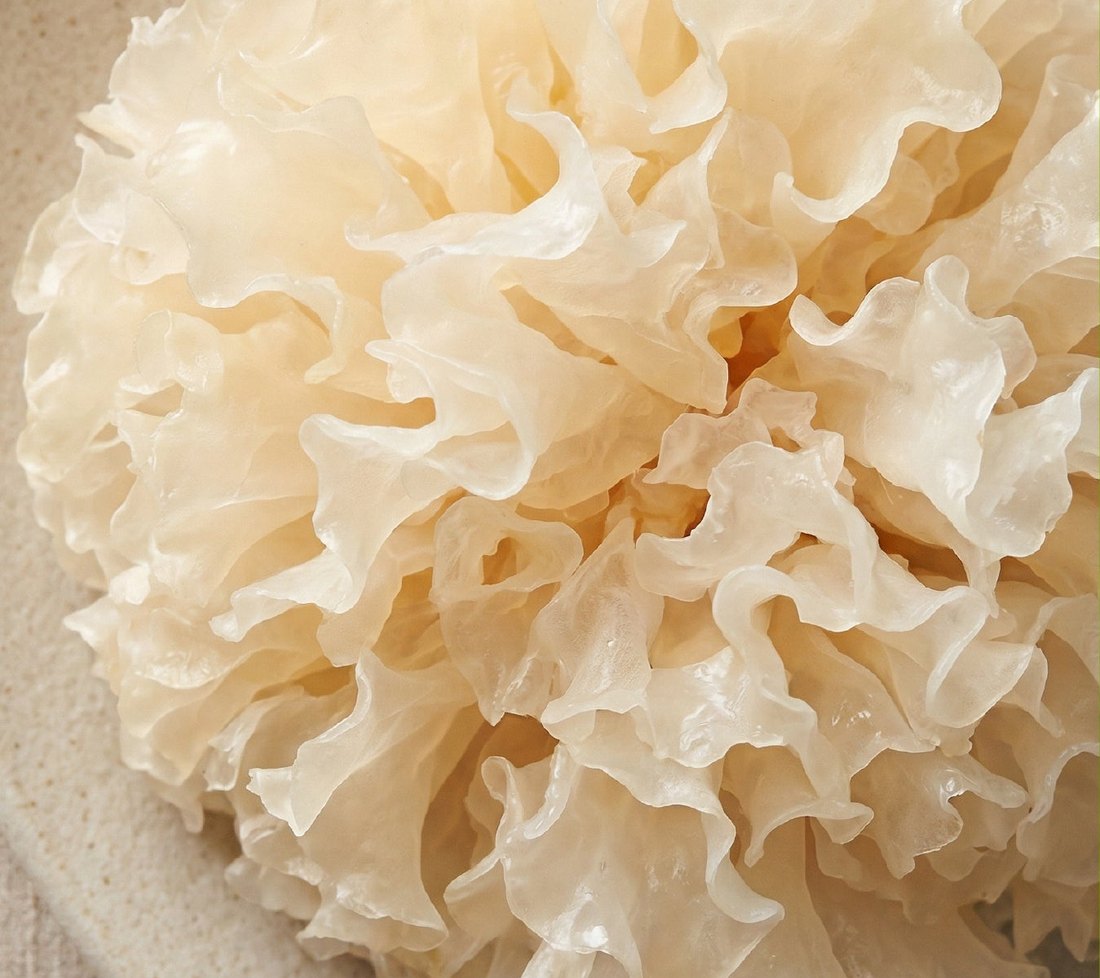Snow Mushroom